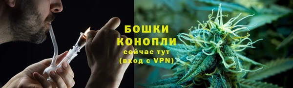 МДПВ Нея