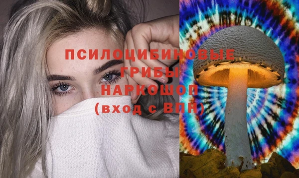 a pvp Абаза