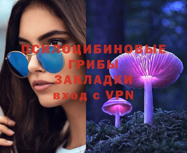a pvp Абаза